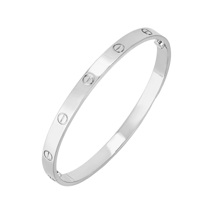 Serene's Eternity Link - Silver